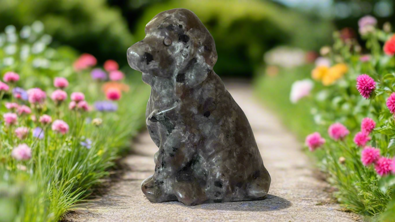Yooperlite Crystal Dog Labrador