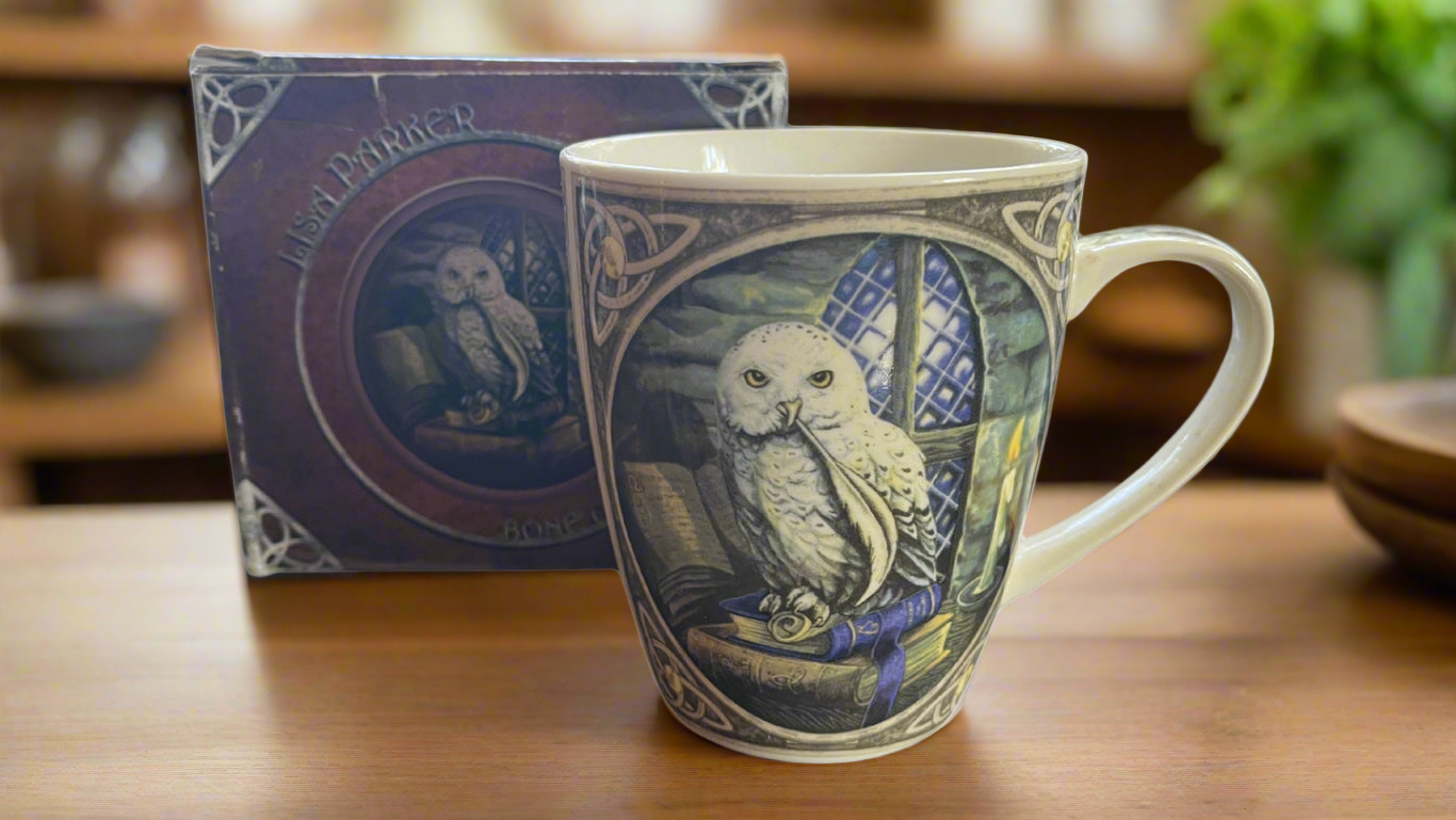 Owl Design Fantasy Porcelain Mug by Lisa Parker