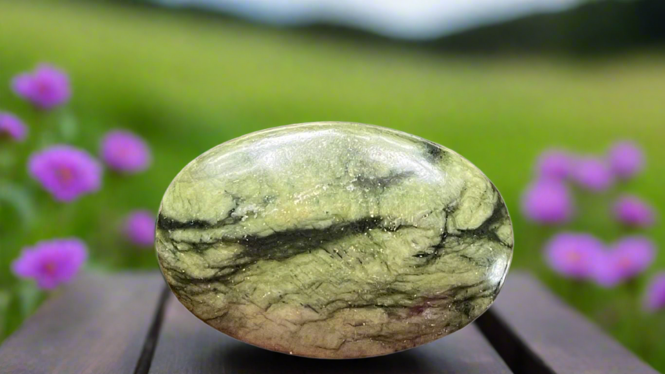 Serpentine Palm Stone