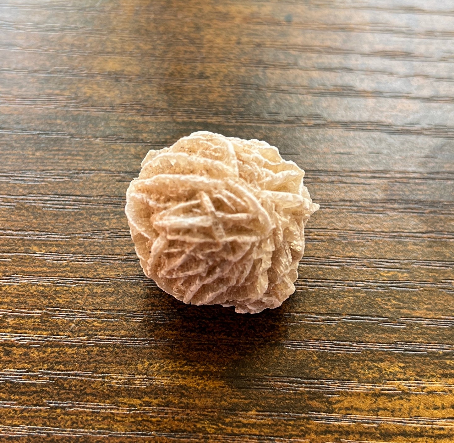 Desert Rose Selenite