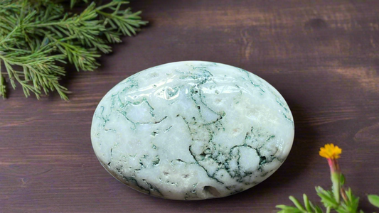 Moss Agate Palm Stone