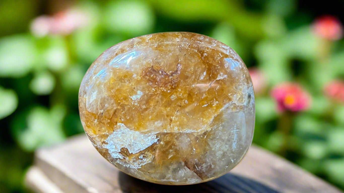 Golden Healer Palm Stone